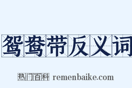 鸳鸯带反义词是什么意思的图片